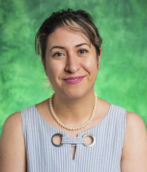Hedieh Hashemi Hosseinabad, PhD, CCC-SLP