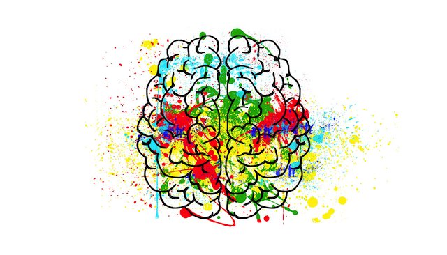 Illustration of a brain with areas highlighted in a variety of colors